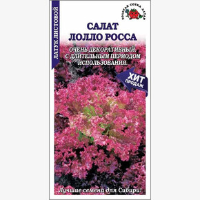 Салат Лолло Росса/ Сотка