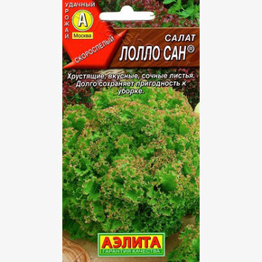 Салат Лолло Сан/ Аэлита