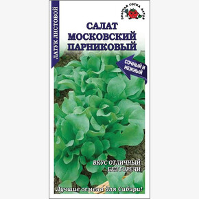 Салат Московский парниковый /Сотка/ 1 г