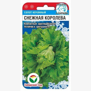 Салат Снежная королева/ Сибсад