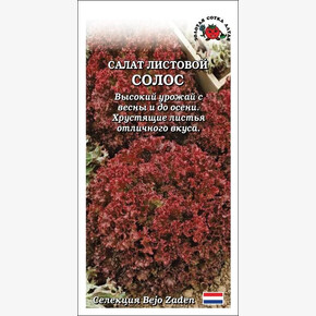 Салат Солос/ Сотка