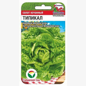 Салат Типикал/ Сибсад