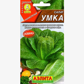 Салат Умка/ Аэлита