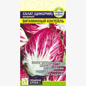 Салат Цикорий Витаминный Коктейль/Сем Алт/цп 0,5 гр.