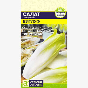 Салат Цикорий Витлуф/Сем Алт/цп 0,5 гр.