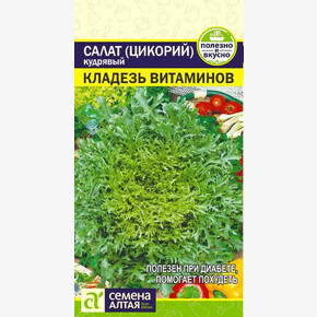 Салат Эндивий Кладезь Витаминов/ Семена Алтая 0,5 гр.!