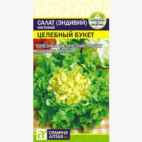 Салат Эндивий Целебный Букет/Сем Алт/цп 0,5 гр.