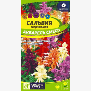 Сальвия Акварель/ Семена Алтая