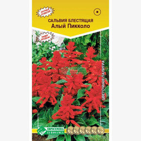 Сальвия Алый Пикколо/ Евросемена