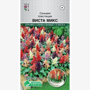 Сальвия ВИСТА МИКС 8 шт /PanAm Seeds/ Евросемена