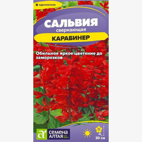 Сальвия Карабинер сверкающая/Семена Алтая/цп 0,05 гр. (2029 / 42181)
