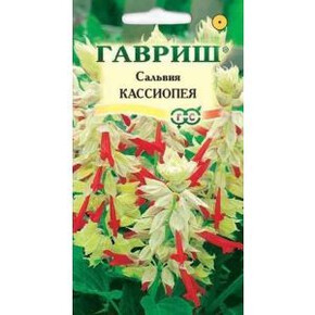 Сальвия Кассиопея карлик /Гавриш/ 5шт