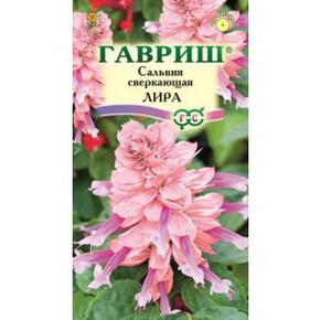 Сальвия Лира 5шт/ Гавриш