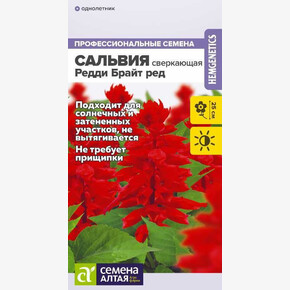 Сальвия Редди Брайт ред сверкающая/ Семена Алтая 5 шт. ГОЛЛАНДИЯ