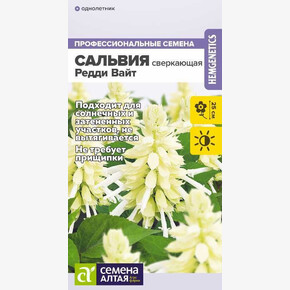 Сальвия Редди Вайт сверкающая/ Семена Алтая 5 шт. ГОЛЛАНДИЯ