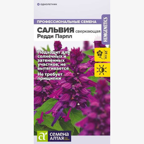 Сальвия Редди Парпл сверкающая/ Семена Алтая 5 шт. ГОЛЛАНДИЯ
