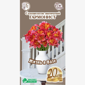 Сальпиглоссис Гармонист 5 драже/ Евросемена