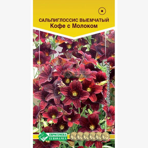 Сальпиглоссис КОФЕ С МОЛОКОМ (5 шт)/ Евросемена