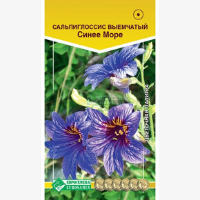 Сальпиглоссис СИНЕЕ МОРЕ (0,02 гр)/ Евросемена