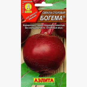 Свекла Богема /Аэлита