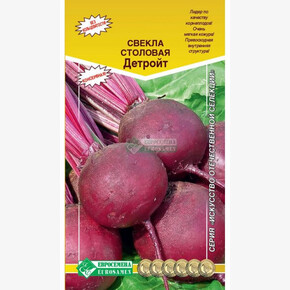 Свекла Детройт/ Евросемена