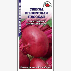 Свекла Египетская плоская/ Сотка