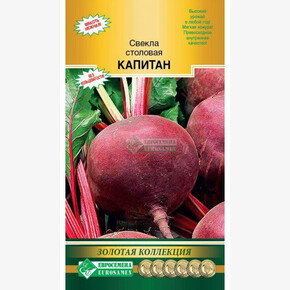 Свекла Капитан/ Евросемена