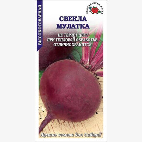 Свекла Мулатка/ Сотка