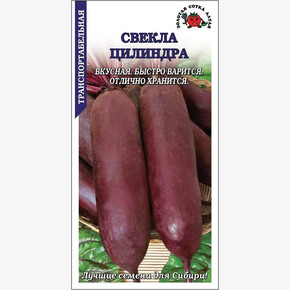 Свекла Цилиндра/ Сотка