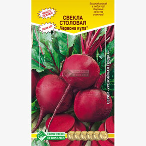 Свекла Червона кула/ Евросемена