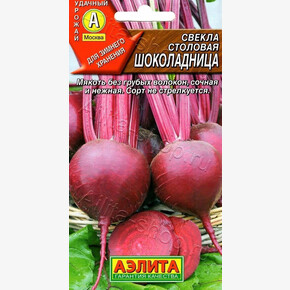 свекла Шоколадница АЭЛИТА