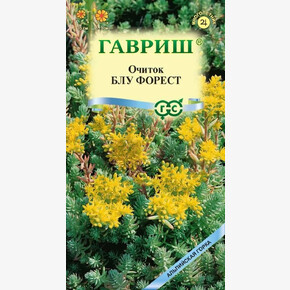 Седум Блу форест /Гавриш