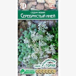 Седум СЕРЕБРИСТЫЙ ИНЕЙ 10 шт/ Евросемена