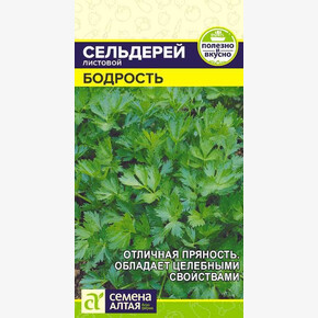Сельдерей Бодрость/ Семена Алтая 0,5 гр.