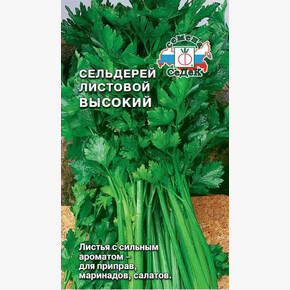 Сельдерей Высокий/ Седек