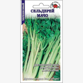 Сельдерей Мачо/ Сотка