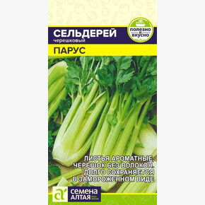 Сельдерей Парус Черешковый/ Семена Алтая 0,5 гр.