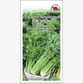 Сельдерей Паскаль /Сотка/ 0,5г/ холодоуст./*1200