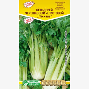 Сельдерей Паскаль/ Евросемена