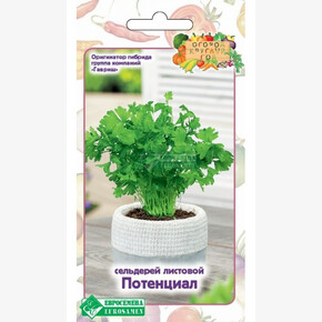 Сельдерей ПОТЕНЦИАЛ 0,5 гр/ Евросемена