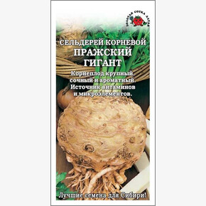 Сельдерей Пражский гигант /Сотка/0,5гр