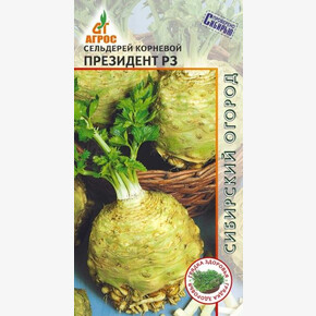 сельдерей Президент РЗ