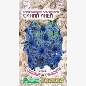 Синеголовник СИНИЙ ИНЕЙ 10шт/ Евросемена