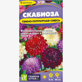 Скабиоза Темно-ная смесь/Сем Алт/цп 0,2 гр.