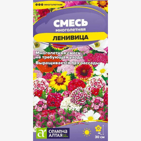 Смесь Ленивица многолетняя низкая/Сем Алт/цп 0,3 гр. многолетник