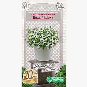 Смолевка кейскей Белый Шелк 5шт/ Евросемена