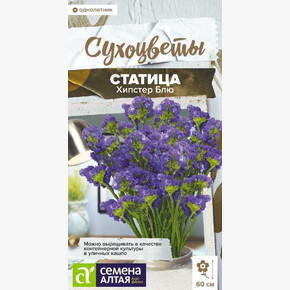 Статица Хипстер Блю/Сем Алт/цп 5 шт. СухоНОВИНКА