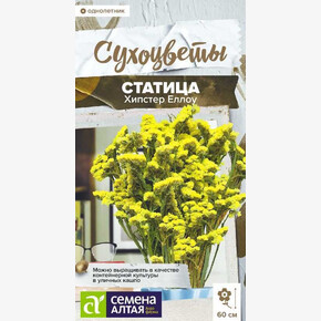 Статица Хипстер Еллоу/Сем Алт/цп 5 шт. СухоНОВИНКА