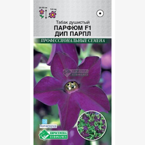 Табак душистый ПАРФЮМ ДИП ПАРПЛ (10 шт)/ Евросемена