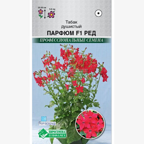 Табак душистый ПАРФЮМ Ред (10 шт)/ Евросемена